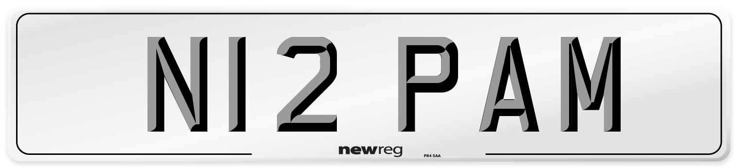 N12 PAM Number Plate from New Reg